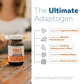 Екстракт Ашваганди преміум-класу Triquetra Health Ashwa-70 Ashwagandha Extract 60 капсул - зображення 5
