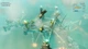 Ключ активации Bulwark: Falconeer Chronicles Origins Bundle для Xbox One/Series S/X - изображение 6