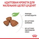 Корм Royal Canin X-Small Puppy сухой для щенков малых пород 0.5 кг - изображение 5