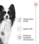 Корм Royal Canin XSmall Adult сухой для взрослых собак мелких пород 3 кг - изображение 2