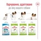 Корм Royal Canin XSmall Adult сухой для взрослых собак мелких пород 3 кг - изображение 6