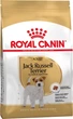 Корм Royal Canin Jack Russell Terrier Adult сухий для собак породи джек рассел 1.5 кг - зображення 1
