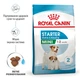 Корм Royal Canin Mini Starter сухой для щенков и беременных и кормящих собак 1 кг - изображение 3