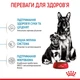 Корм Royal Canin Maxi Starter сухой для щенят крупных пород 4 кг - изображение 3