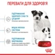Корм Royal Canin Mini Starter сухой для щенков и беременных и кормящих собак 1 кг - изображение 5