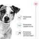 Корм Royal Canin Mini Adult 8+ сухий для старіючих собак дрібних порід 0.8 кг - зображення 2