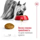 Корм Royal Canin X-Small Adult 8+ сухой для пожилых собак мелких пород 3 кг - изображение 4