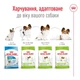 Корм Royal Canin X-Small Adult 8+ сухой для пожилых собак мелких пород 3 кг - изображение 5