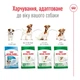 Корм Royal Canin Mini Adult 8+ сухий для старіючих собак дрібних порід 0.8 кг - зображення 4