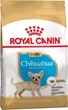 Корм Royal Canin Chihuahua Puppy сухой для щенят породы чихуахуа 0.5 кг - изображение 1