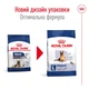 Корм Royal Canin Maxi Ageing 8+ сухий для старіючих собак великих порід 15 кг - зображення 6