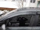 Ветровики HB (4 шт, Sunplex Sport) для Peugeot 307 - изображение 1