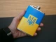 Фляга кишенькова Україна UA-023 266 мл 9 oz нержавіюча сталь - изображение 7