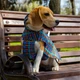 Дощовик для собак з капюшоном Barksi Textile М Картатий (17548718) - зображення 2