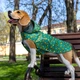 Дощовик для собак з капюшоном Barksi Textile М Авокадо (17548631) - зображення 7