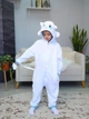 Піжама кігурумі Kigurumi для хлопчика Дракон Беззубик Денна Фурія Білий на зріст 165 - 175 см (204642) - зображення 1