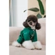 Комбінезон для собак Pet Fashion EGO ХS-2 - изображение 6