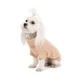 Світло для собак Pet Fashion Sam L - зображення 2