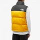 Жилетка The North Face 1996 Retro Nuptse Vest Yellow/Black NF0A3JQQZU3 M - изображение 4