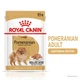 Корм Royal Canin Yorkshire Terrier Adult влажный для взрослых собак породы йоркширский терьер 85 гр - изображение 2