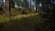 Way of the Hunter (PS5) - изображение 4