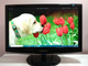 Монитор Широкоформатный Samsung SyncMaster 2033SN / 20" (1600x900) TN+film / VGA б/у - изображение 3
