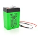 Аккумуляторная батарея литиевая QiSuo QS606СH 6V 6Ah Li-ion 18650, + зарядное 8,4V 1A + крокодилы - изображение 1