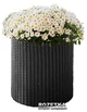 Горщик для квітів Keter Cylinder Planter S Сірий (7290103668204) - изображение 1