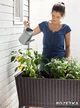 Грядка Keter Easy Grow Коричнева (7290005559822) - зображення 5