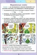 Робочий зошит з читання 3 клас. НУШ — Савченко О. - зображення 3