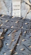 Мужские трусы шорты VERICOH хлопок блоки серый XL 48\50 - изображение 2
