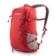 Городской рюкзак Pinguin Step 24 2020 Red (PNG 326130) - изображение 1