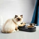 Годівниця PETKIT Fresh Nano Metal 15° Adjustable Cat Feeding Bowl (P5201) (P5201) - изображение 7