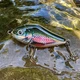 Воблер Salmo Slider Dark Forest Perch 6 см (20032026013) - зображення 2