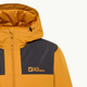 Kurtka zimowa męska sportowa Jack Wolfskin Jasper Ins Jkt M A61872_M0043 L Pomarańczowa (4064886336079) - obraz 13