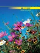 Тетрадь канцелярская NATURE, А4, 96 л., линия, офсет, твердая ламинированная обложка - изображение 4