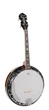 Банджо Richwood RMB-904-SS - изображение 1