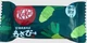 Упаковка шоколадных мини батончиков Nestle Kit Kat Shizuoka Limited Wasabi Flavor 10 шт - изображение 2