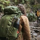 Туристический рюкзак Naturehike на 65 литров, походный, треккинговый + алюминиевая рама,зеленый - изображение 3
