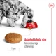 Сухой корм Royal Canin MEDIUM ADULT для взрослых собак Средних пород 4 кг (3182550708197) - изображение 4