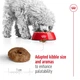 Сухой корм Royal Canin MINI AGEING 12+ для стареющих собак Мелких пород 800 г (3182550793353) - изображение 4