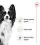 Сухой корм Royal Canin XSMALL ADULT 8+ для стареющих собак Миниатюрных пород 3 кг (3182550831352) - изображение 3