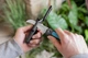 Ніж Gardena VeggieCut для збирання врожаю (12211-30.000.00) - зображення 11
