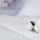 Ковдра ТЕП Multi-season Полуторна 140x205 см Поліефірне силіконізоване волокно White (1-04400_00000) - зображення 5