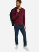 Джемпер мужской C&A 2182778b93 3XL Бордовый (KC1000000040598) - изображение 3