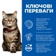 Hill's SCIENCE PLAN Hairball & Perfect Coat Сухий корм для дорослих котів для виведення грудочок шерсті та покращення стану шерсті, з куркою, 3 кг - изображение 2