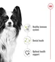 Сухой корм Royal Canin XSMALL ADULT для взрослых собак Миниатюрных пород 1.5 кг (3182550793728) - изображение 3