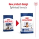 Сухий корм Royal Canin MAXI AGEING 8+ для старіючих собак Великих порід 15 кг (3182550803113) - зображення 2