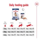 Сухий корм Royal Canin MAXI ADULT 5+ для старіючих собак Великих порід 4 кг (3182550402293) - зображення 6
