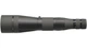 Підзорна труба Leupold SX-4 Pro Guide HD 20-60x85 пряма - зображення 4